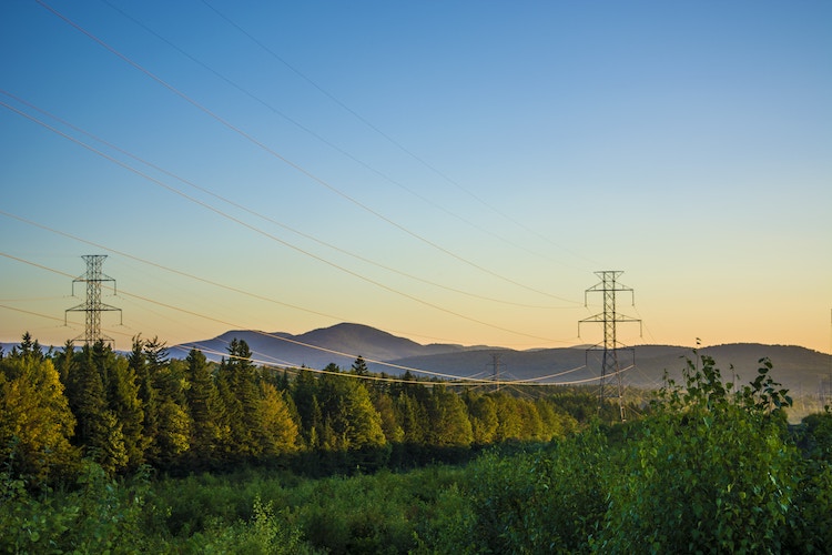 fournisseur électricité verte